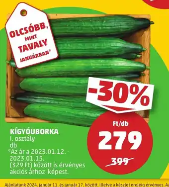 KÍGYÓUBORKA 1 db