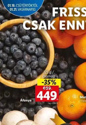 Lidl Áfonya 125 g ajánlat