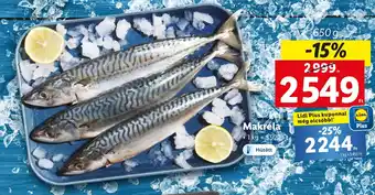 Lidl Makréla 650 g ajánlat