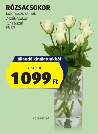 ALDI RÓZSACSOKOR ajánlat