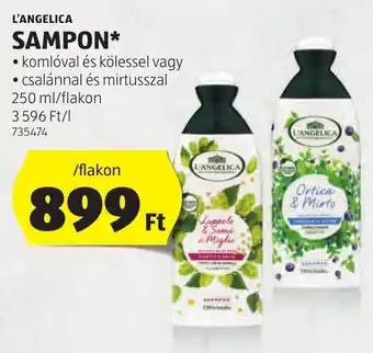 L'ANGELICA SAMPON