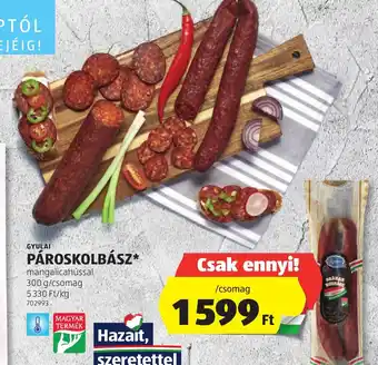 ALDI GYULAI PÁROSKOLBÁSZ 300g ajánlat