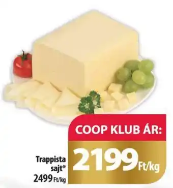 Coop Trappista sajt kg ajánlat