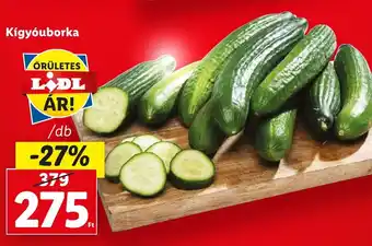 Lidl Kígyóuborka 1 db ajánlat