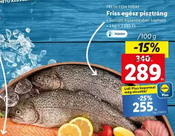 Lidl FRESH FISH TODAY Friss egész pisztráng 100g ajánlat