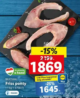 BAJCSHAL Friss ponty 500g