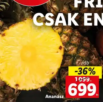 Lidl Ananász /db ajánlat