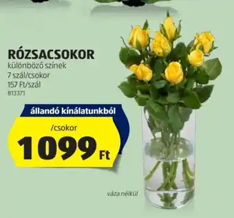 ALDI RÓZSACSOKOR 7 szál ajánlat