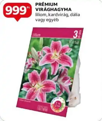 Auchan PRÉMIUM VIRÁGHAGYMA ajánlat