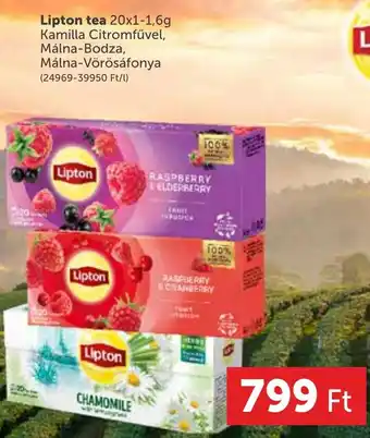 PRIVÁT Lipton tea 20x1-1,6g ajánlat