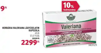 Rossmann HERBÁRIA SZERVES SZELÉN FILMTABLETTA KAPSZULA 40 db ajánlat