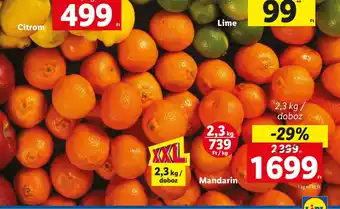 Lidl Mandarin 2,3 kg ajánlat