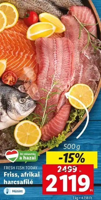 Lidl FRESH FISH TODAY Friss, afrikai harcsafilé 500g ajánlat