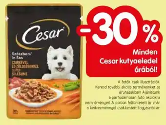 Spar Minden Cesar kutyaeledel árából! ajánlat
