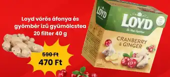 Loyd vörös áfonya és gyömbér ízű gyümölcstea 20 filter 40 g