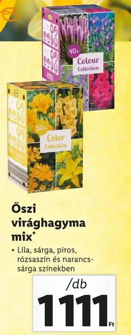 Lidl Őszi virághagyma mix ajánlat