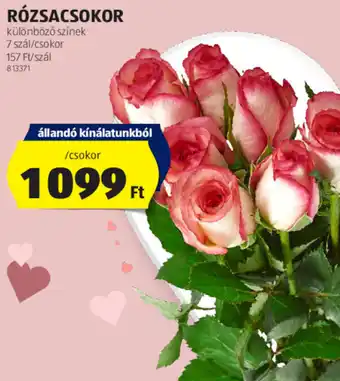 ALDI RÓZSACSOKOR ajánlat