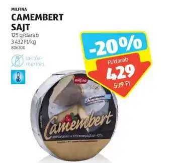 ALDI MILFINA CAMEMBERT SAJT 125g ajánlat