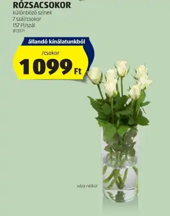 ALDI RÓZSACSOKOR 7szál ajánlat