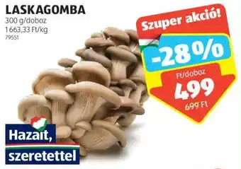 LASKAGOMBA 300g