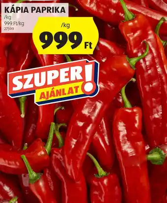 ALDI KÁPIA PAPRIKA ajánlat