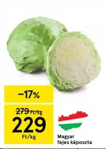 Magyar fejes káposzta