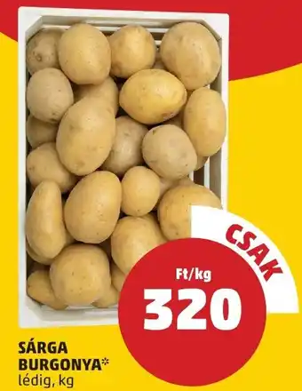 PENNY SÁRGA BURGONYA ajánlat