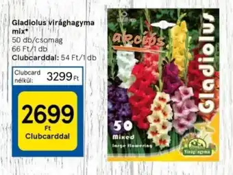Tesco Gladiolus virághagyma mix 50db ajánlat