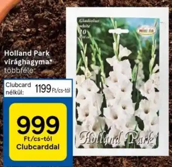 Tesco Holland Park virághagyma ajánlat