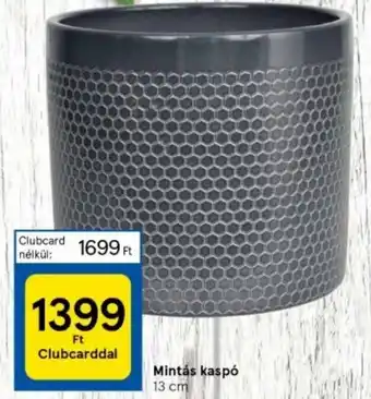 Tesco Mintás kaspó 13cm ajánlat