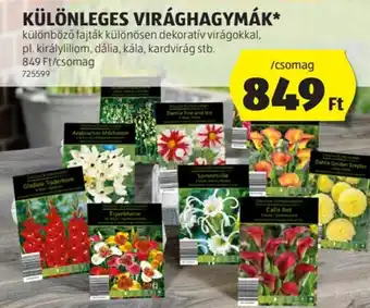 KÜLÖNLEGES VIRÁGHAGYMÁK