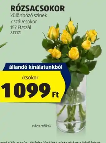 ALDI RÓZSACSOKOR 7db ajánlat