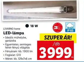 Lidl LIVARNO home LED lámpa ajánlat