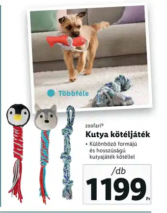 Lidl zoofari Kutya kötéljáték ajánlat