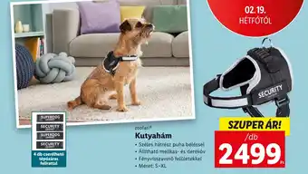 Lidl zoofari Kutyahám ajánlat