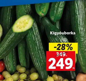 Lidl Kígyóuborka ajánlat