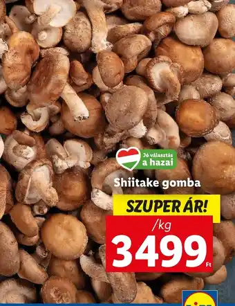 Shiitake gomba 1kg