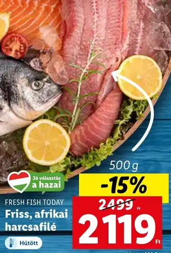 Lidl FRESH FISH TODAY Friss afrikai harcsafilé 500g ajánlat