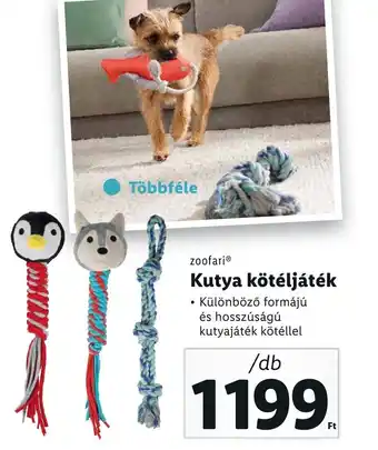 Lidl zoofari Kutya kötéljáték ajánlat