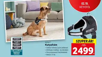 Lidl zoofari Kutyahám ajánlat