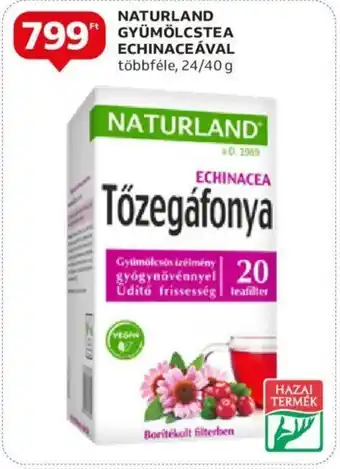 NATURLAND GYÜMÖLCSTEA ECHINACEÁVAL 40g