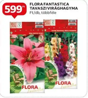 Auchan FLORA FANTASTICA TAVASZI VIRÁGHAGYMA ajánlat