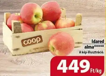 Coop Idared alma ajánlat