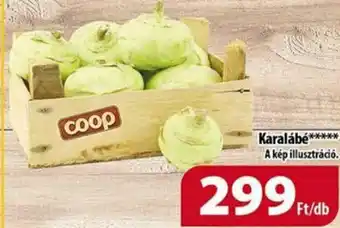 Coop Karalábé ajánlat