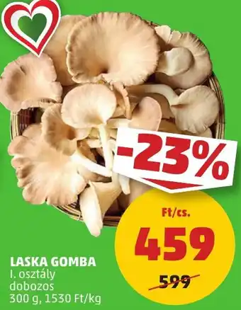 PENNY LASKA GOMBA 300g ajánlat