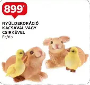 Auchan NYÚL DEKORÁCIÓ KACSÁVAL VAGY CSIRKÉVEL ajánlat