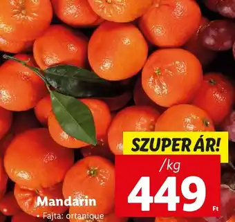 Lidl Mandarin 1kg ajánlat