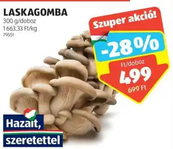 ALDI LASKAGOMBA 300g ajánlat