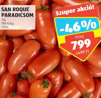 ALDI SAN ROQUE PARADICSOM 1kg ajánlat