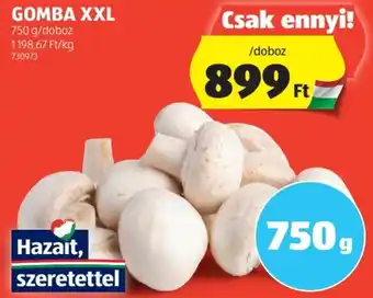 ALDI GOMBA XXL 750g ajánlat